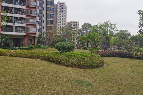 中惠松湖城深度解析 楼盘优势、不足与周边中介评价指南