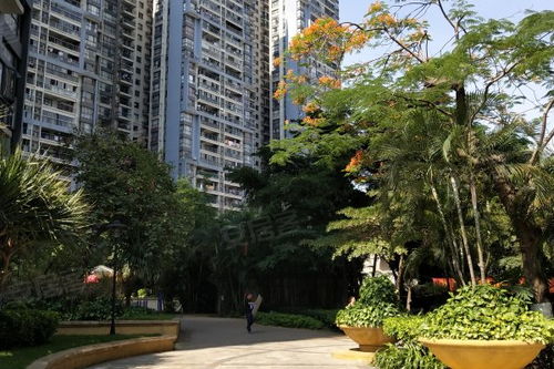 中惠新城居住体验及周边中介评价分析